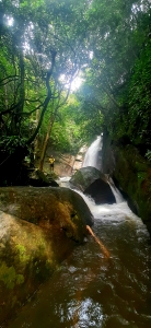 Cachoeiras de Macacu - Trilhas